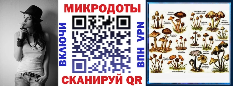 Псилоцибиновые грибы Cubensis  Купить закладки  Струнино 