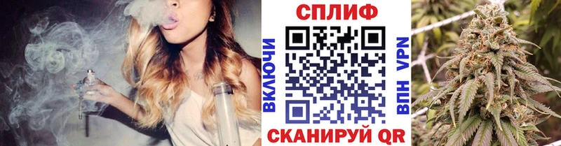 Конопля Bruce Banner Струнино